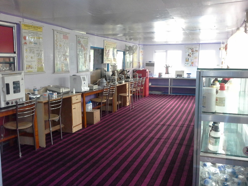 gallery